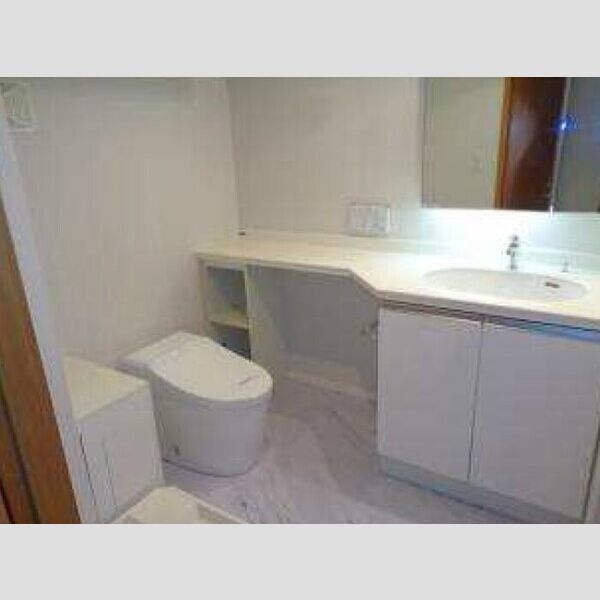 カスタリア銀座Ⅲ0403号室 洗面