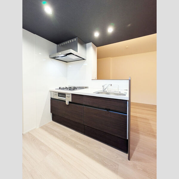 エスペリア相模が丘5丁目201号室 キッチン