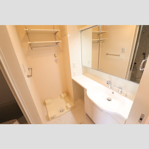 ライズ生田301号室 洗面所