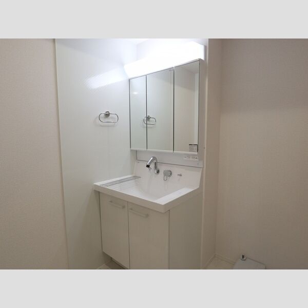 D Paina 桜ヶ丘103号室 洗髪洗面化粧台