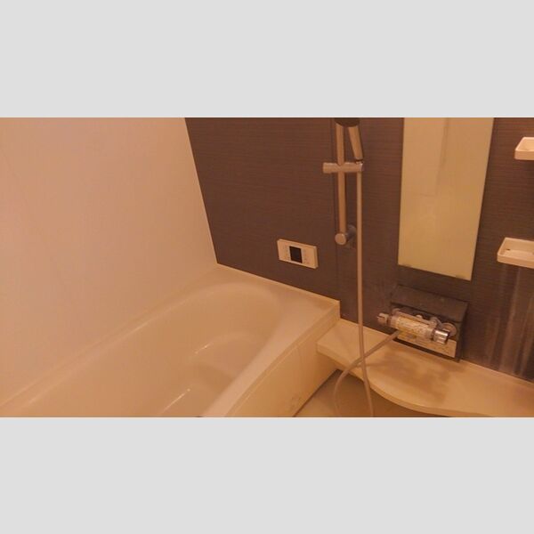 ラ・プランタン北野203号室 浴室