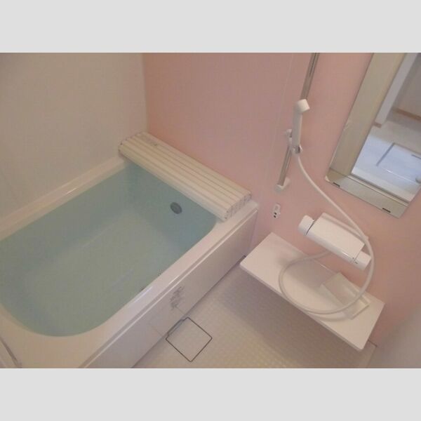 ステラカーサ203号室 浴室