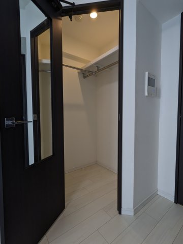 ケーディーエックスレジデンス豊洲814号室 収納