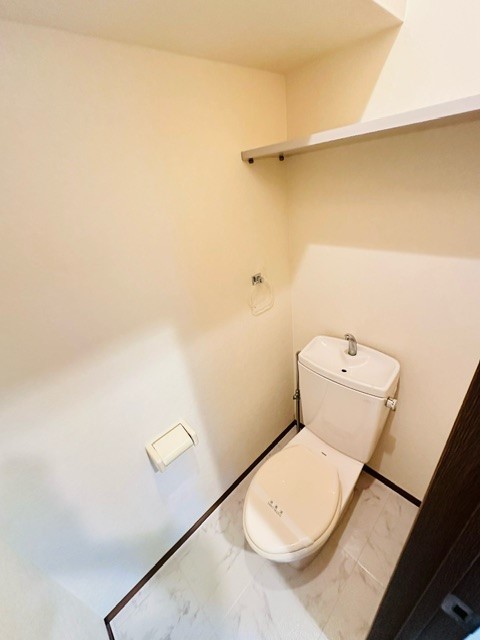 ＮＴ　ＣＯＵＲＴ0306号室 トイレ