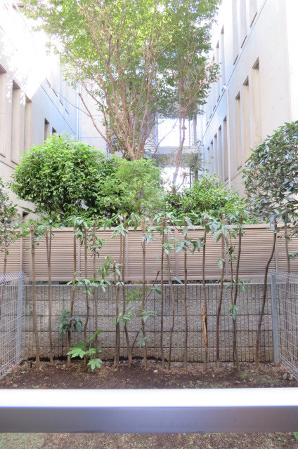 ガーラ渋谷常磐松1階 専用庭　12．03㎡