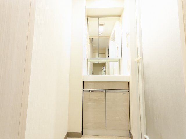 ケーディーエックスレジデンス豊洲201号室 洗面