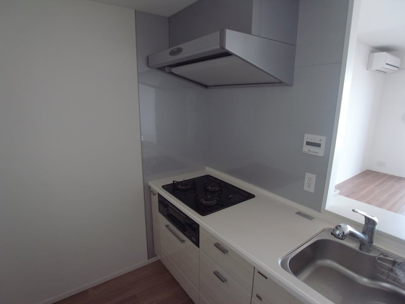 THE ITABASHI テラス10階 キッチン