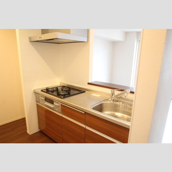 エルサンテ208号室 キッチン