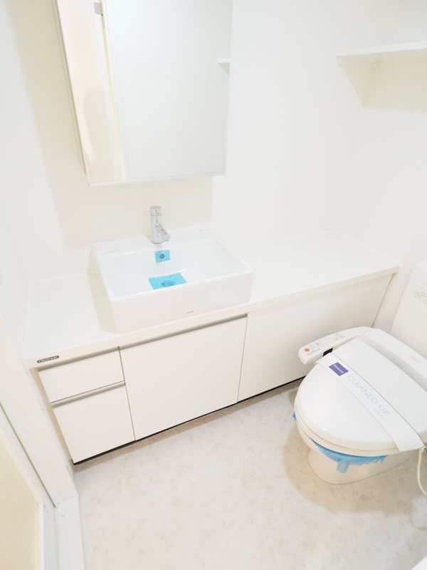 レジディア文京本駒込2階 洗面