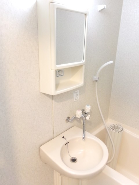 ＮＴ　ＣＯＵＲＴ0502号室 洗面