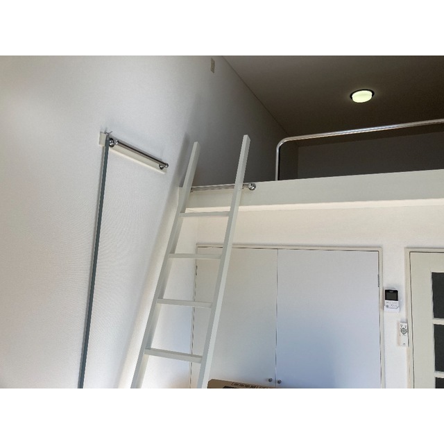 ダリア リビング