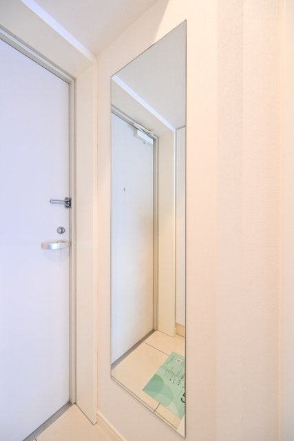 ガーラ・グランディ川崎8階 その他