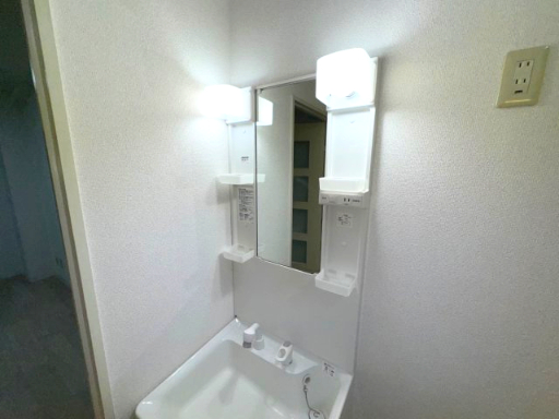 Ｆ５ハクジュハウス310号室 洗面