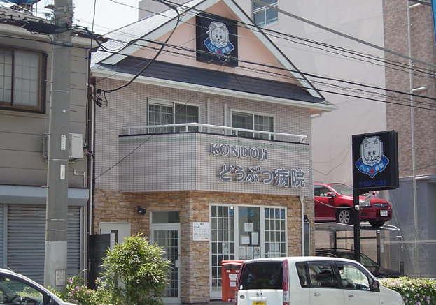 Ｂｌｕｅ　Ｏｃｅａｎ 近藤動物病院まで50ｍ