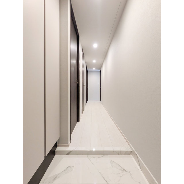 ACP Residence 新江古田0502号室 玄関