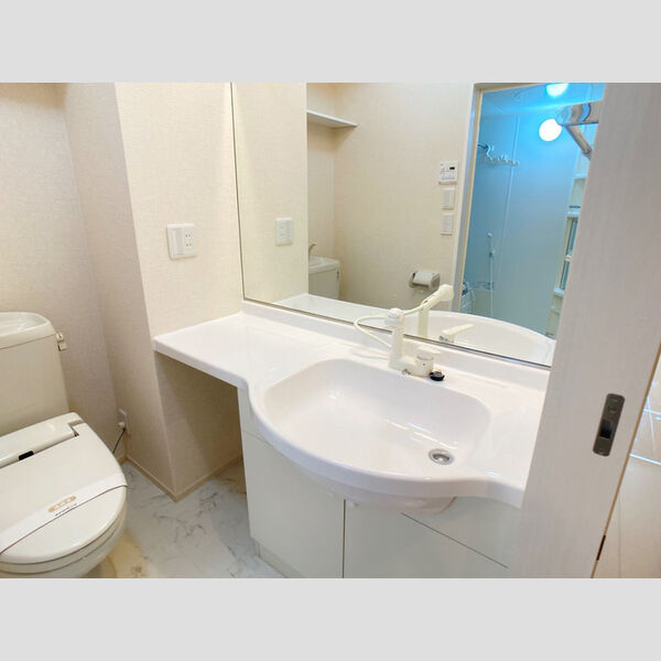 ヴェルドミール 洗髪洗面化粧台