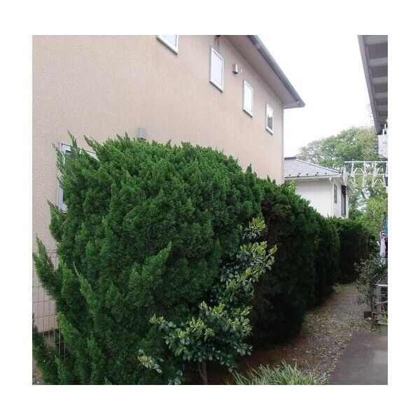 エステートピアグリーン西山A103号室 部屋その他