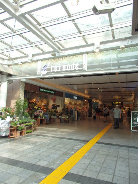 サンアリーナ永福町 【ショッピングセンター】京王リトナード永福町まで245ｍ