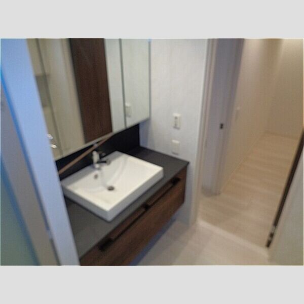 アピシウス202号室 洗面台