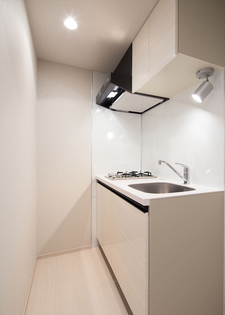 DIPS小竹向原206号室 キッチン