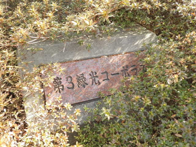 第３緑光コーポラス0305号室 周辺