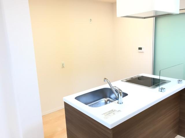 リバーサイドカネヤマ キッチン（イメージ）