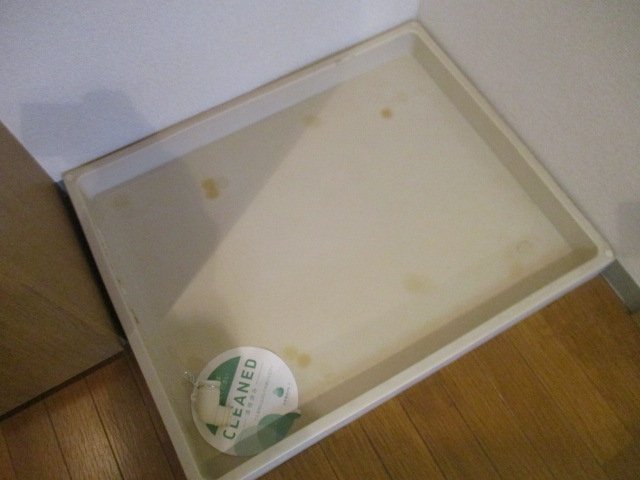 スカイコート池袋東口 室内洗濯機置場