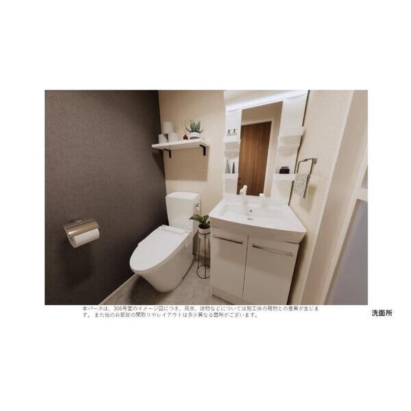 ルナモンド柏の葉206号室 洗面
