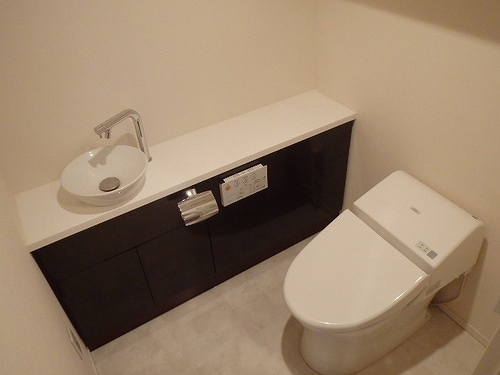 ザ・パークハウス晴海タワーズクロノレジデンス トイレ　※2017年11月撮影の写真