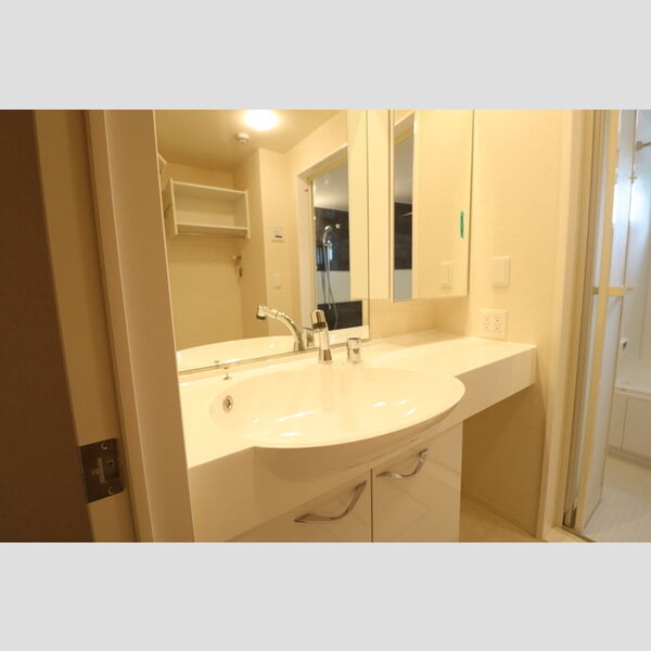 ロイヤルガーデンXI 洗面