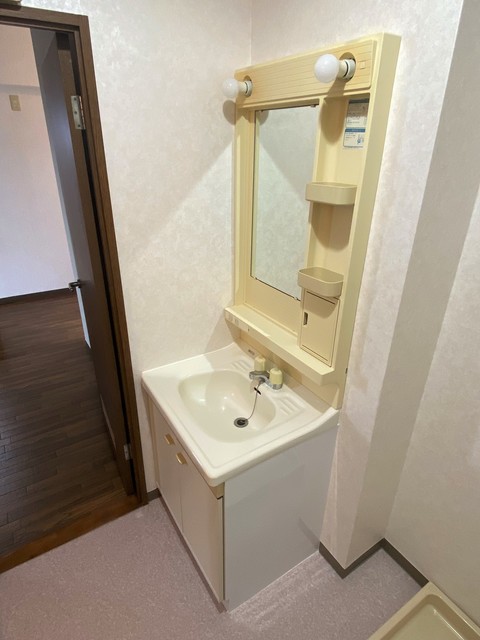パレスグリーンヒル0505号室 洗面
