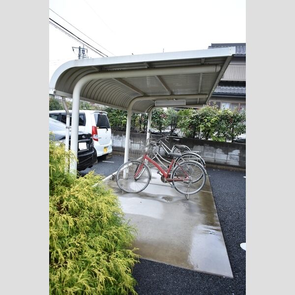 ハナミズキ 駐輪場