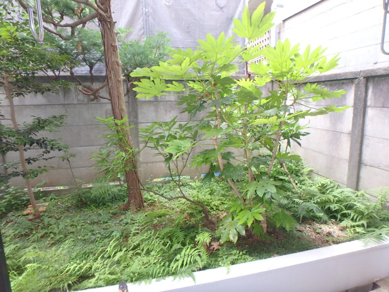 セントラルプラザ学芸大学1階 部屋その他