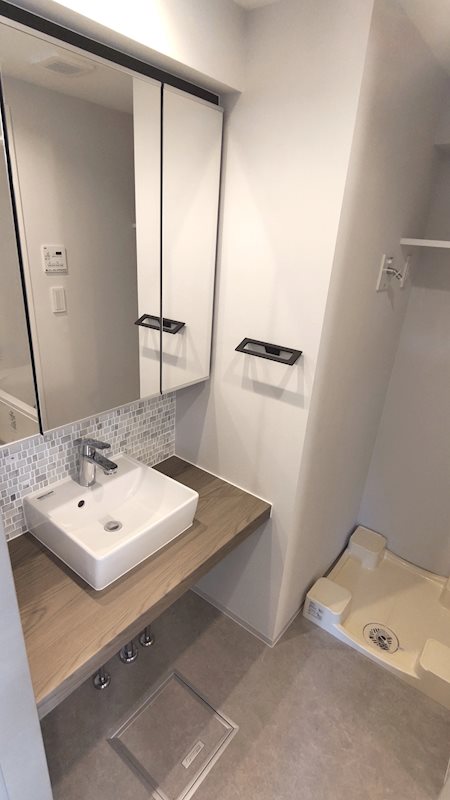 クレヴィアリグゼ西巣鴨5階 洗面