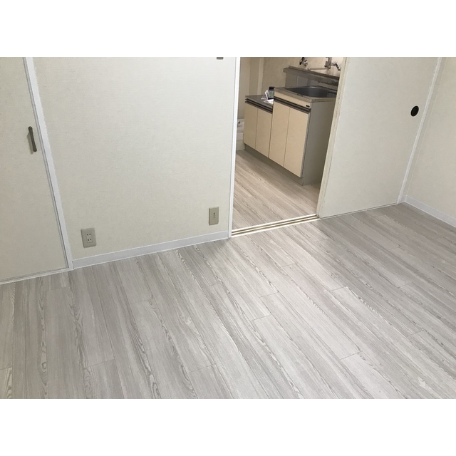 リエス伊勢原203号室 リビング