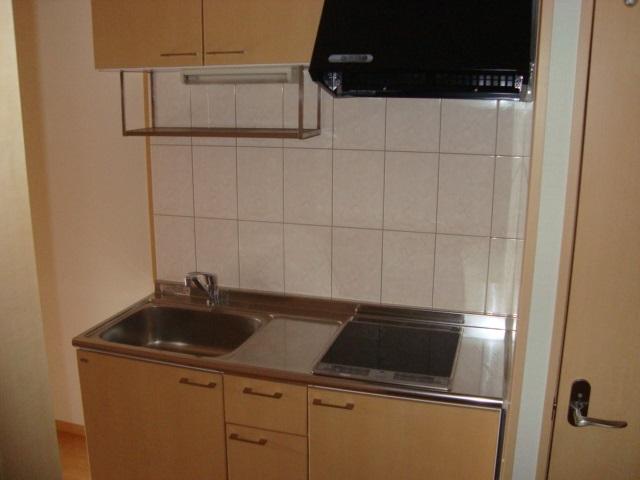 フィールドヴィレッジ元住吉202号室 キッチン