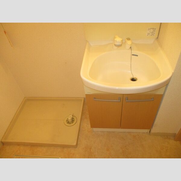 Blanche102号室 洗髪洗面化粧台、室内洗濯機置場