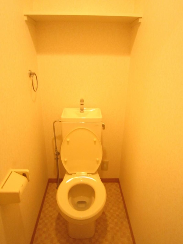 セイコーガーデンⅩⅠ大塚9階 トイレ