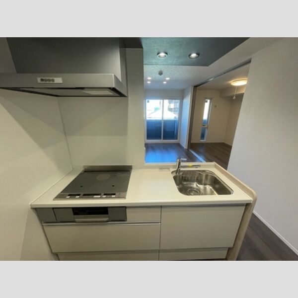 プランドール(富士見)306号室 システムキッチン