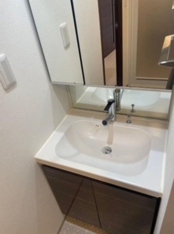 GENOVIA横浜鶴見市場skygarden6階 洗面