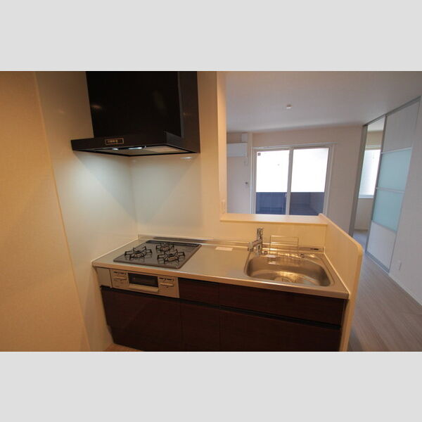 GOLDEN RINGS　12(ゴールデンリングスワンツー)102号室 キッチン