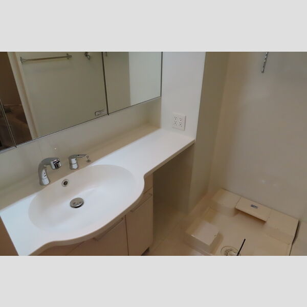 フローラ108号室 ワイドな洗髪洗面化粧台