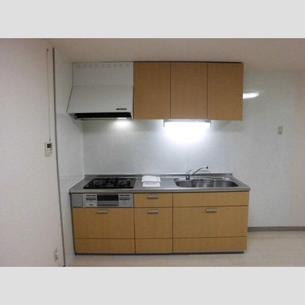 パレススリーゼ システムキッチン