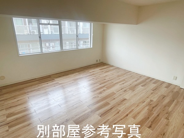 メゾンセレナイト リビング