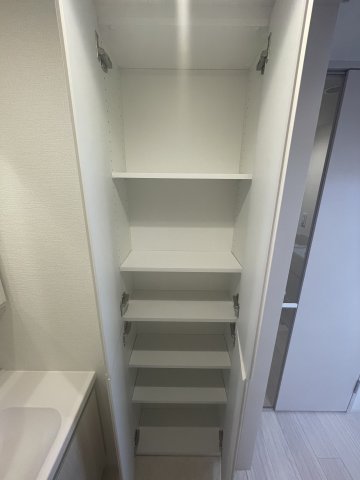 グランパセオ清澄白河Ⅱ1005号室 収納