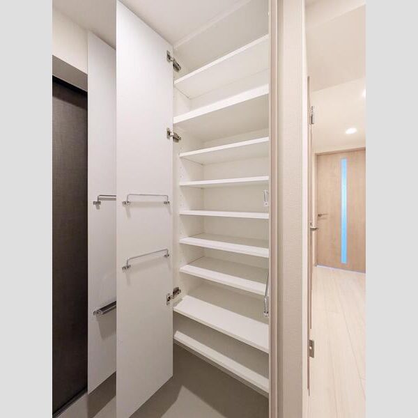 S-RESIDENCE大森bresa501号室 リビング