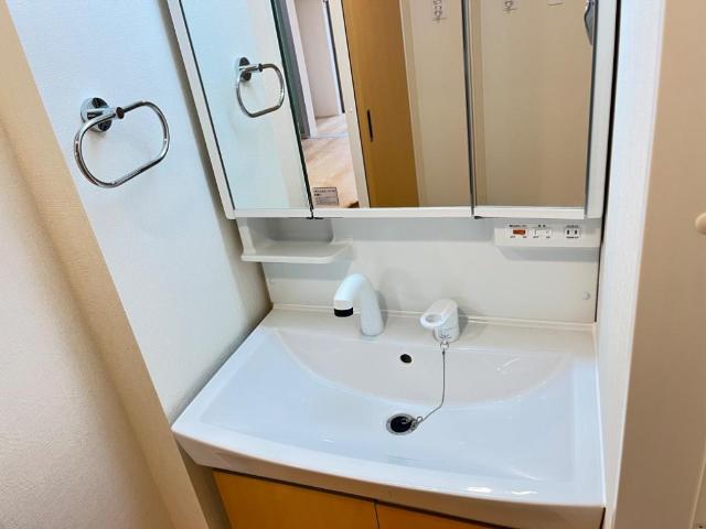Ｇｌａｎｚ　-グランツ-103号室 洗面（イメージ）