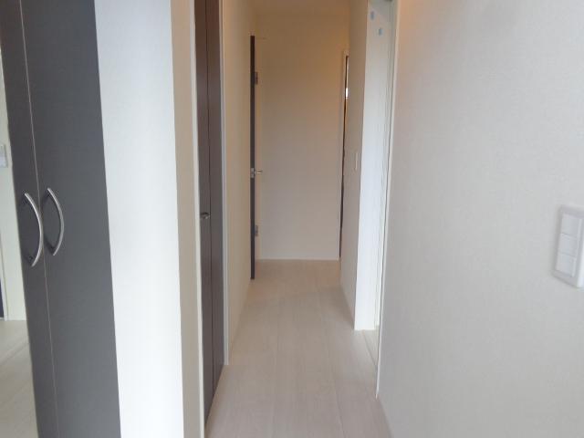 スターチス 廊下