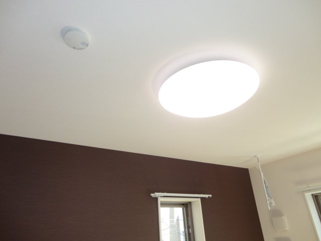 ライズウィング201号室 照明器具、室内物干し