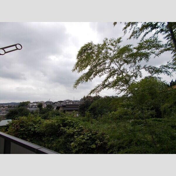 カサブランカ 眺望